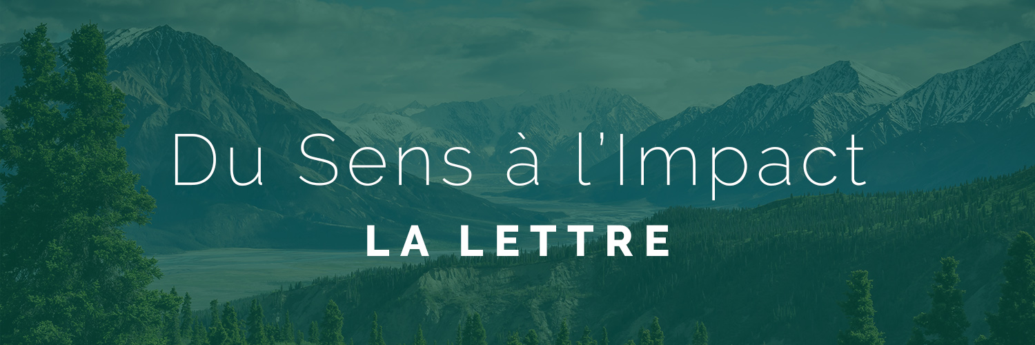 LSI la lettre