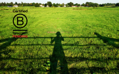 Tout sur le statut B Corp™ pending en 3 points