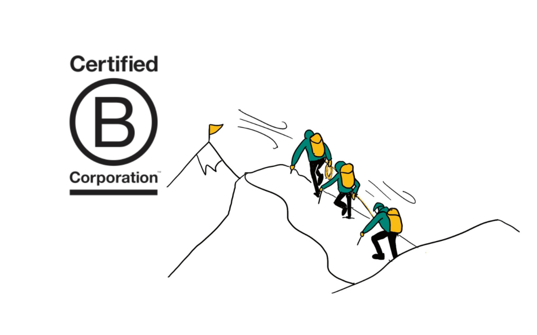 Tout savoir sur l’audit B Corp™