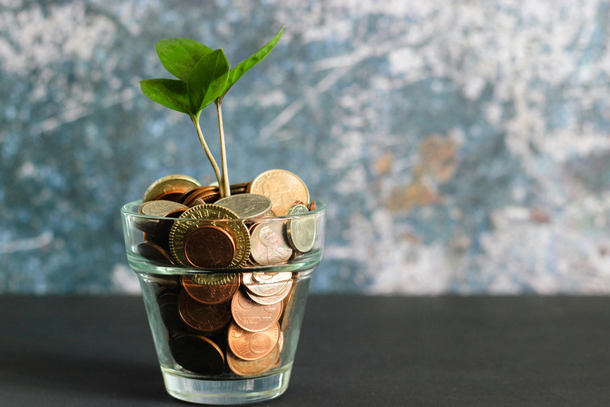 Budget Certification B Corp